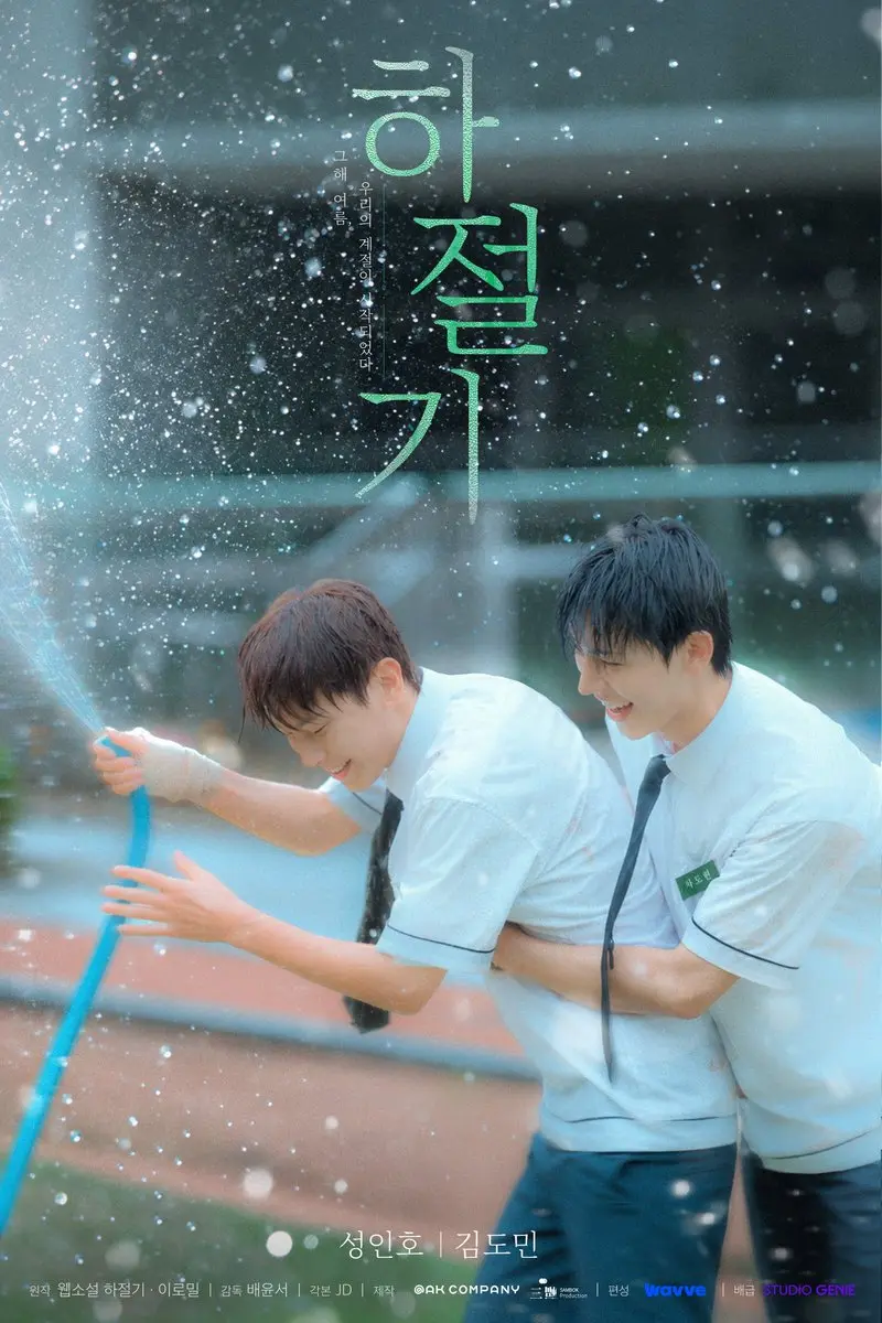 《夏季》最新2026韩剧全集免费观看国语完整版-夏季在线观看HD高清无广告-双男主主演全季完整版播放